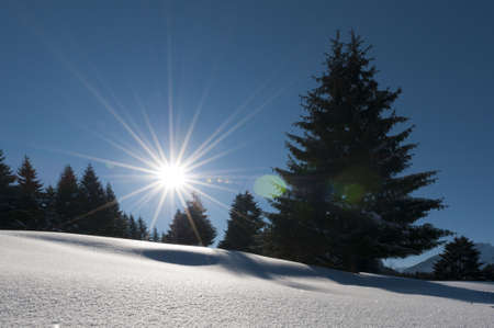 wonderful and dreamy winter scenery with a lot of snow, trees, sun and blue skyの写真素材