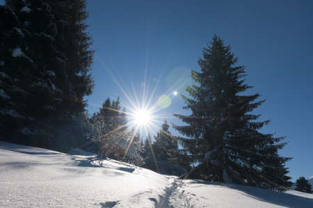 wonderful and dreamy winter scenery with a lot of snow, trees, sun and blue skyの写真素材