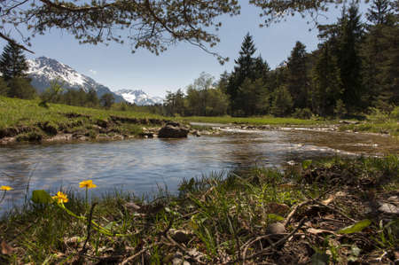 nice nature landscape with water, flowers, grass, meadows and tyrol mountainsの写真素材