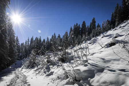winter landscape with steps in the snow and sun at blue skyの写真素材