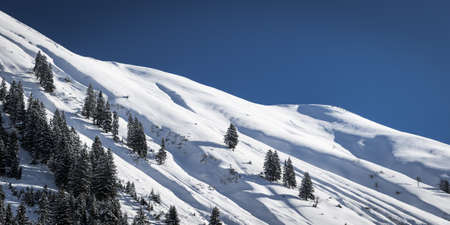 silent winter landscape on austrian mountain with trees and skyの写真素材
