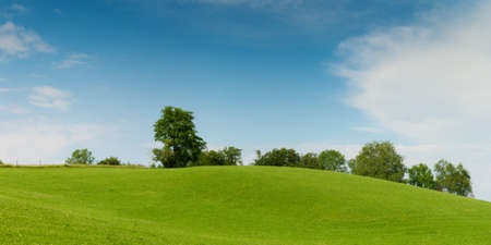 green meadow hill with trees on soft blue skyの写真素材