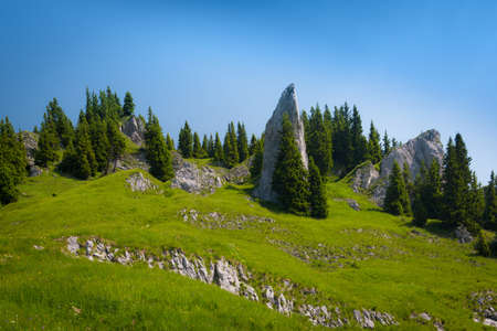huge rock at green mountain meadow