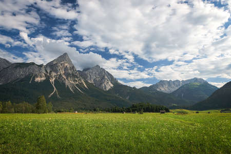 flower meadow with austrian mountains の写真素材