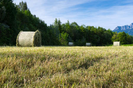 several hay bale at fresh mowed meadow in rural alp sceneの写真素材