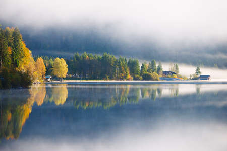yellow and orange trees reflecting at idyllic foggy alp lakeの写真素材