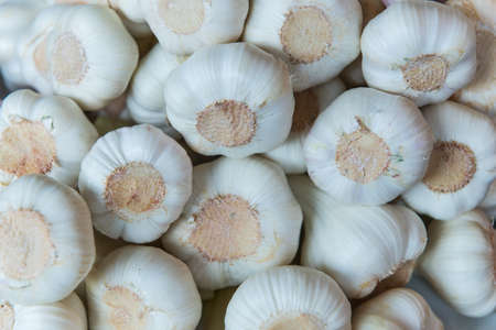 several garlic lumps lying at market for saleの写真素材