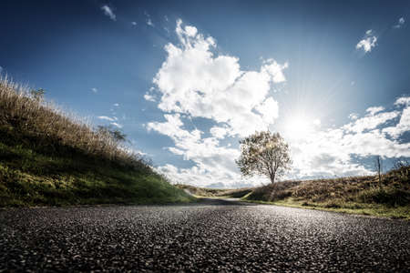 single tree at fall scene with asphalt road in tyrolの写真素材