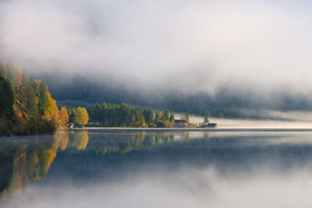 morning fog at lake plansee with colorful autumn treesの写真素材
