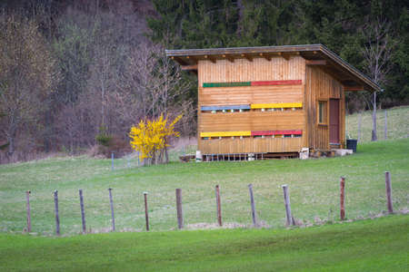 wooden beehouse in meadow next to forest