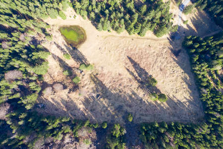 birds eye view to mountain meadow with small tarn and forest aroundの写真素材