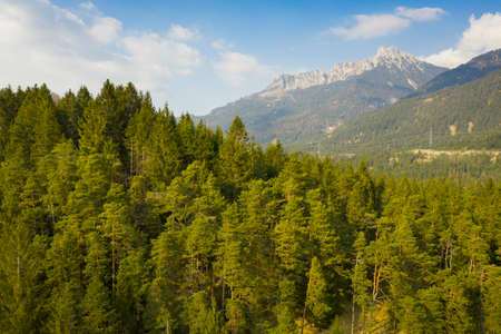 tree of forest in front of mountain saeuling with blue cloudy sky at reutteの写真素材
