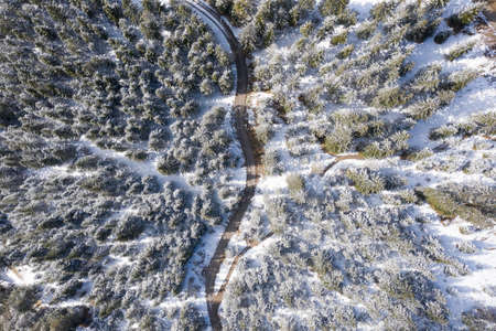 Road through forest in spring winter with snow on trees at Austria Tirolの写真素材