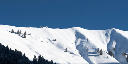 Snow covered mountain ridge with single trees on a beautiful winter sunny day and blue skyの写真素材