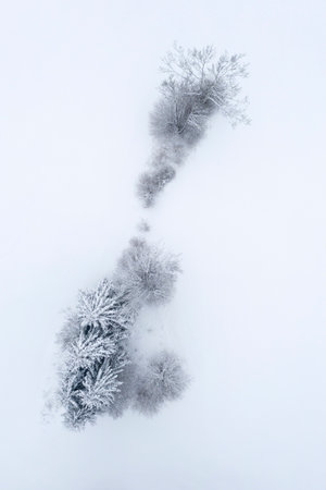 Top view of trees and bushes with snow from above in winterの写真素材