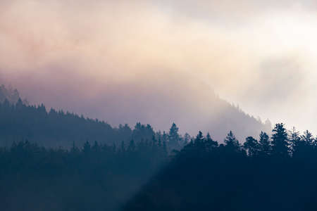 Sun rays streak three levels of misty mountain forests in autumnの写真素材