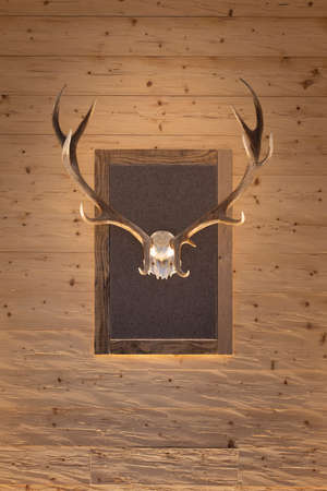 large central deer antlers with grind on a felt and rustic chopped old wood backgroundの写真素材