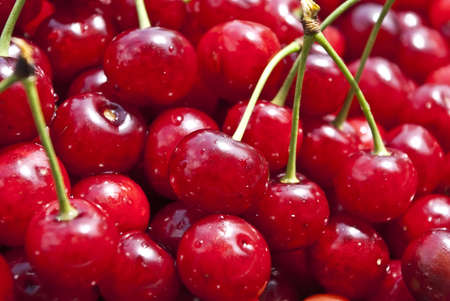 Many red cherry without tailsの写真素材