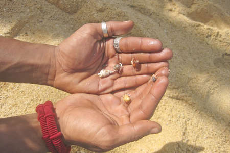 Crabs and shells in two hands in front of sand