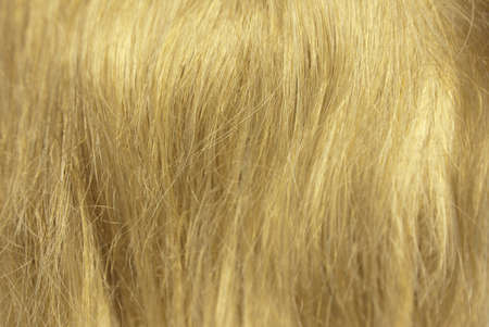 Beautiful blond hair is close up