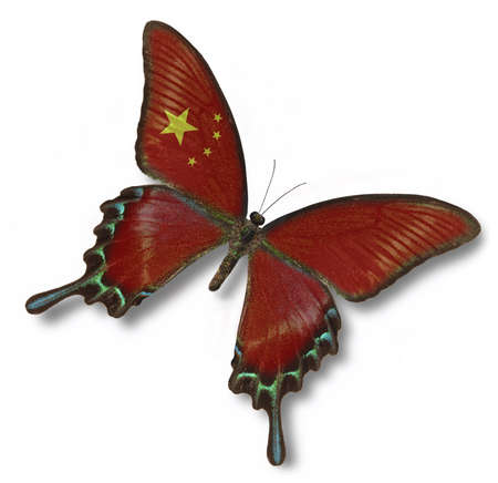 Chinese flag on butterfly isolated on whiteの写真素材