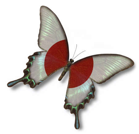 Japanese flag on butterfly isolated on whiteの写真素材