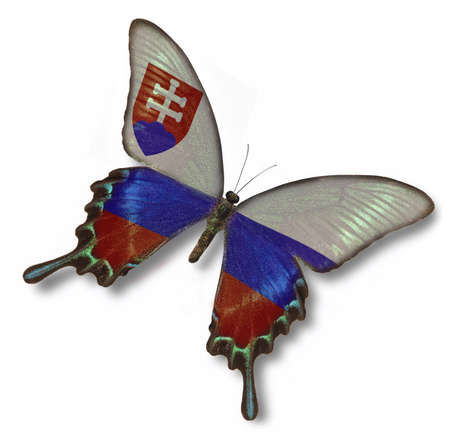 Slovakia flag on butterfly isolated on whiteの写真素材