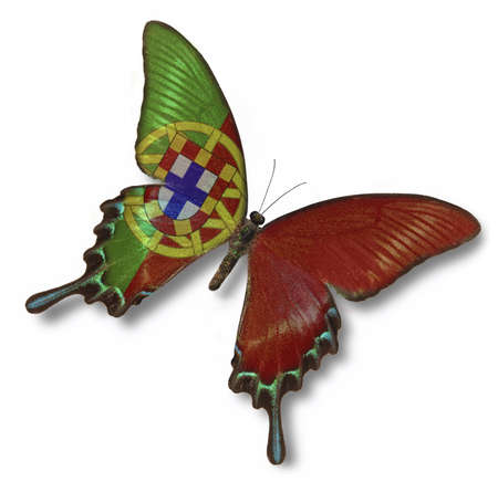 Portugal flag on butterfly isolated on whiteの写真素材