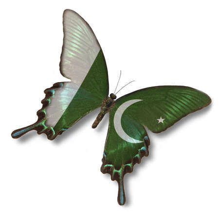 Pakistan flag on butterfly isolated on whiteの写真素材
