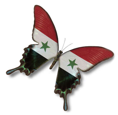 Syria flag on butterfly isolated on whiteの写真素材