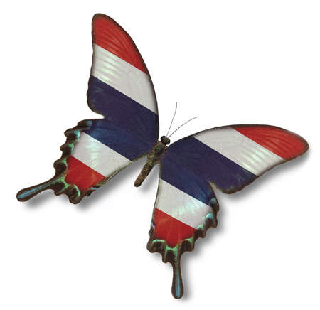 Thailand flag on butterfly isolated on whiteの写真素材