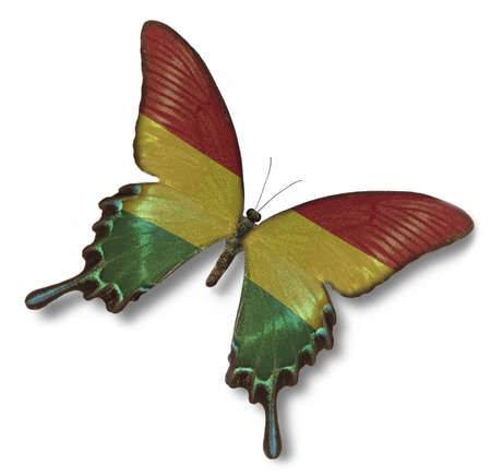 Bolivia flag on butterfly isolated on whiteの写真素材