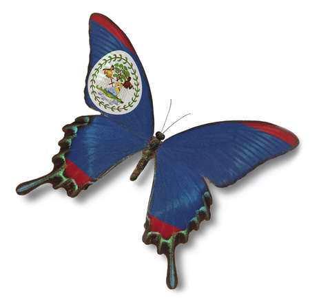 Belize flag on butterfly isolated on whiteの写真素材