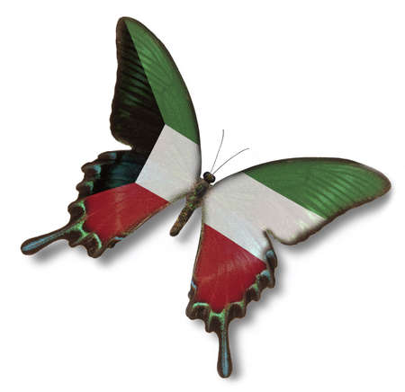 Kuwait flag on butterfly isolated on whiteの写真素材