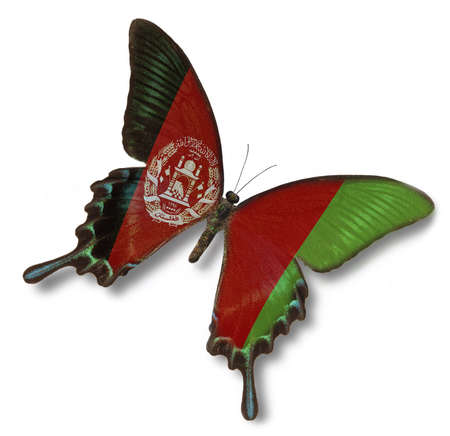 Afghanistan flag on butterfly isolated on whiteの写真素材