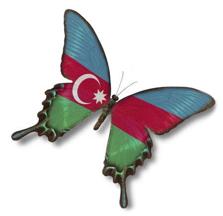 Azerbaijan flag on butterfly isolated on whiteの写真素材
