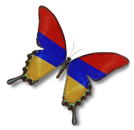 Armenia flag on butterfly isolated on whiteの写真素材