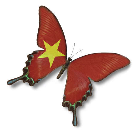 Vietnam flag on butterfly isolated on whiteの写真素材