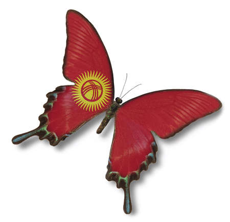 Kyrgyzstan flag on butterfly isolated on whiteの写真素材