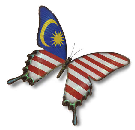 Malaysia flag on butterfly isolated on whiteの写真素材