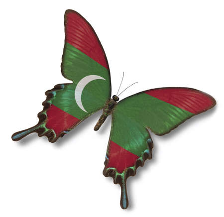 Maldives flag on butterfly isolated on whiteの写真素材
