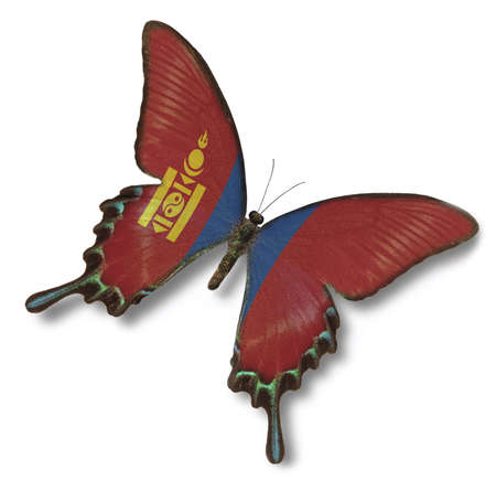 Mongolia flag on butterfly isolated on whiteの写真素材