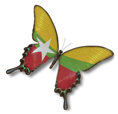 Myanmar flag on butterfly isolated on whiteの写真素材