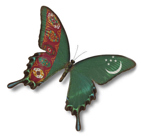 Turkmenistan flag on butterfly isolated on whiteの写真素材