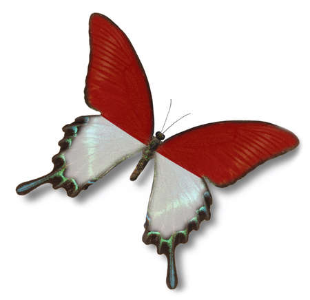 Monaco flag on butterfly isolated on whiteの写真素材