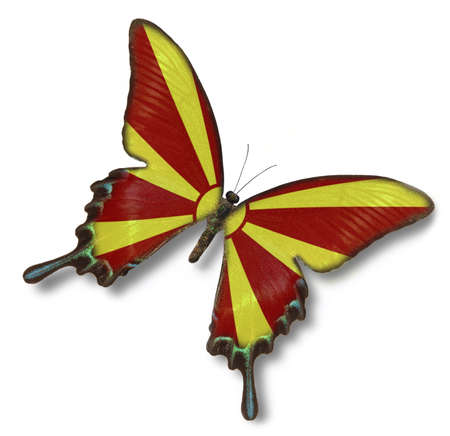 Macedonia flag on butterfly isolated on whiteの写真素材