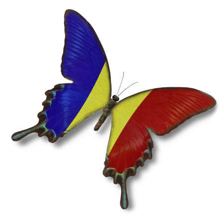 Romania flag on butterfly isolated on whiteの写真素材