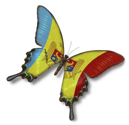 Moldova flag on butterfly isolated on whiteの写真素材
