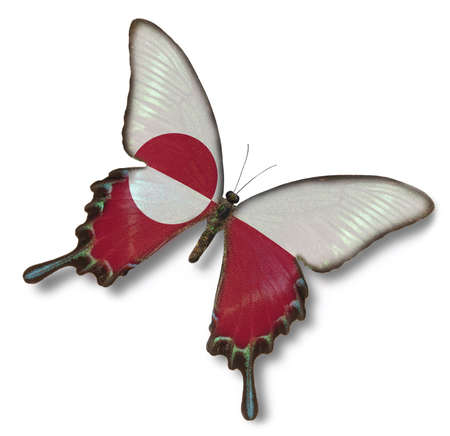 Greenland flag on butterfly isolated on whiteの写真素材