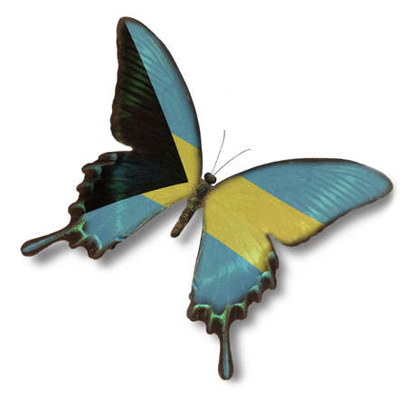 Bahamas flag on butterfly isolated on whiteの写真素材